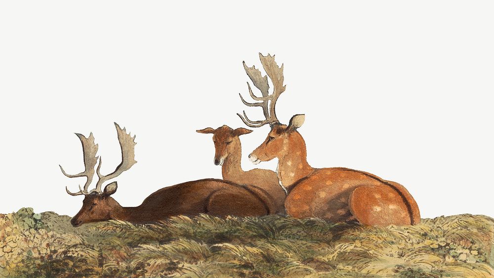 Fallow deer watercolor border psd. Remixed from vintage artwork by rawpixel.