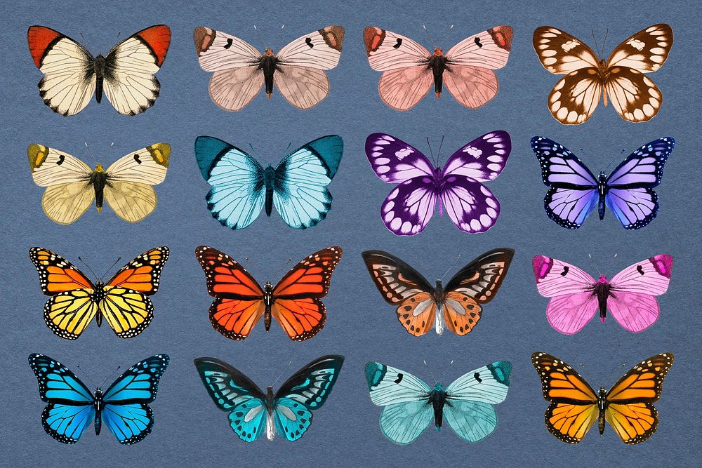 Colorful butterflies, aesthetic nature collage element set psd