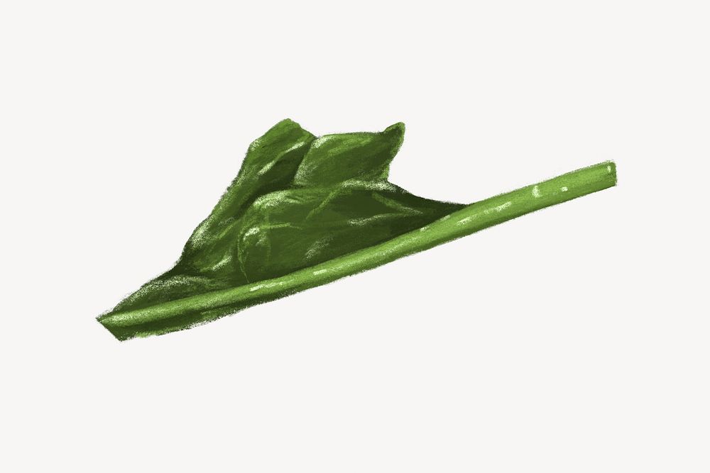 Spinach vegetable, healthy food illustration