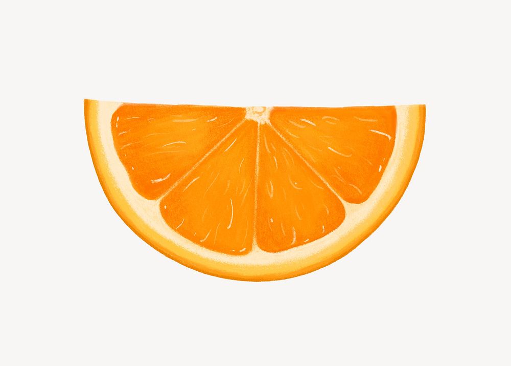 Orange slice fruit, healthy food illustration