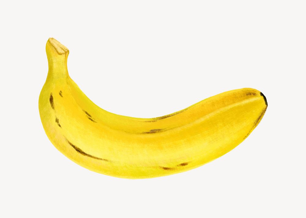 Banana fruit, healthy food illustration