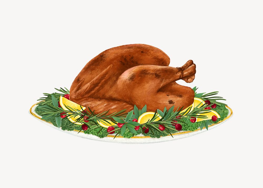 Thanksgiving turkey, food illustration