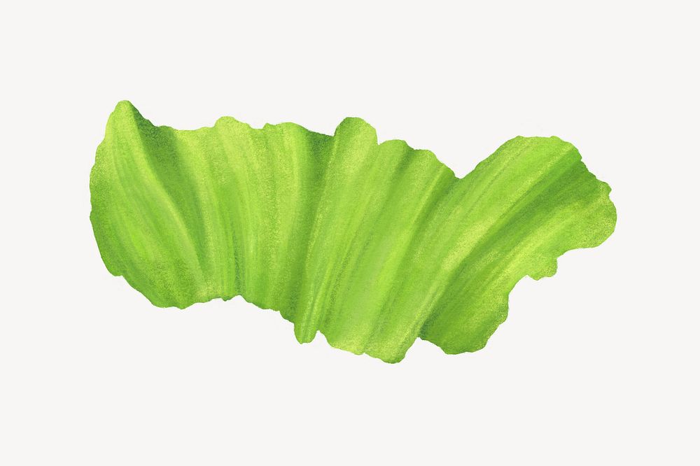 Salad vegetable, healthy food illustration