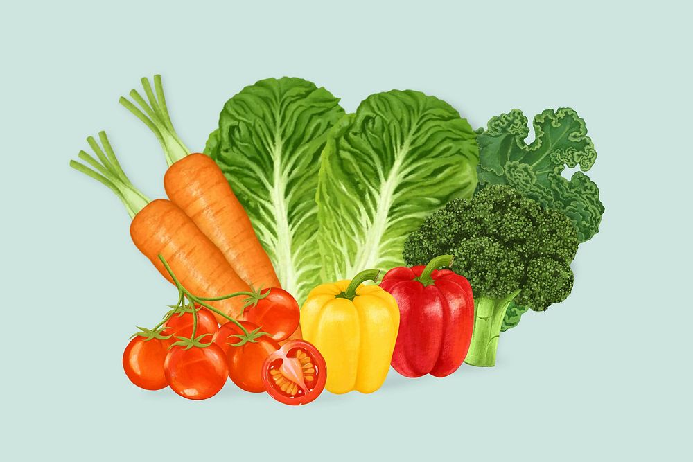 Variety of vegetables, healthy ingredient illustration