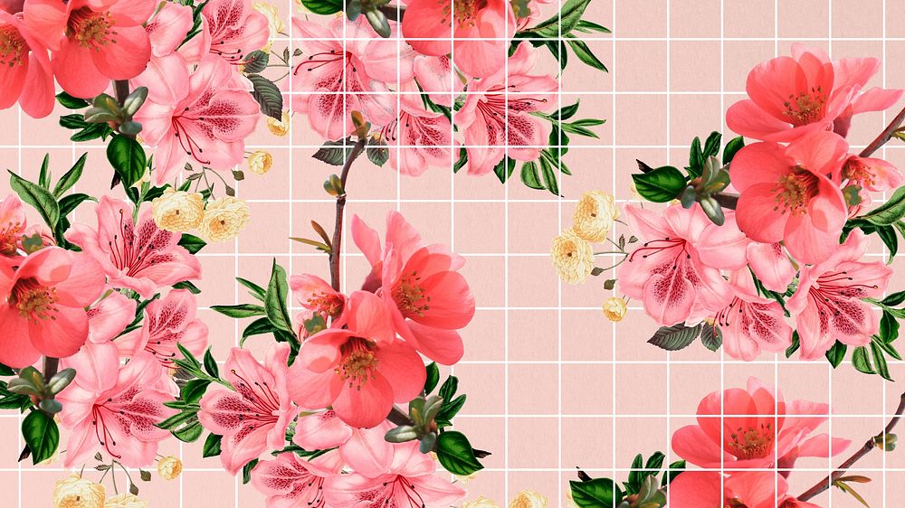 Chinese quince flower desktop wallpaper, aesthetic grid background