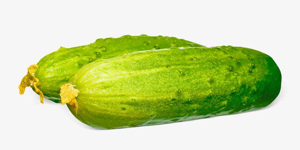Cucumbers isolated image