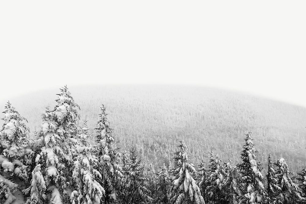 View of snow covered trees amidst the mass of forest land collage element psd