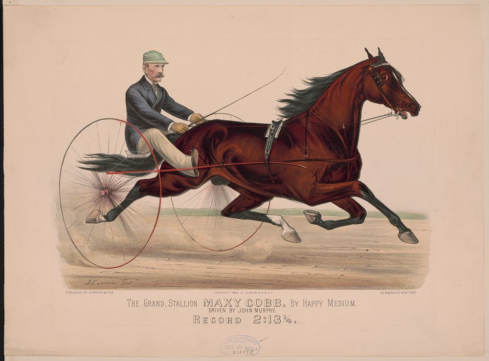 Horses by John Cameron (1828-1906)