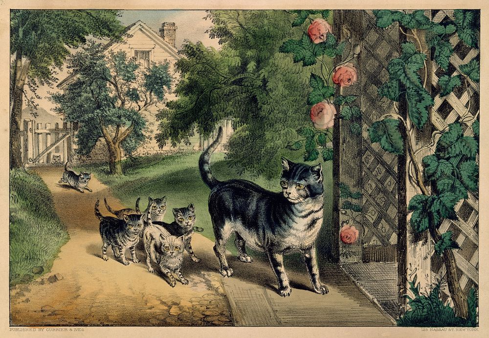 Pussy's Return published and printed by Currier & Ives