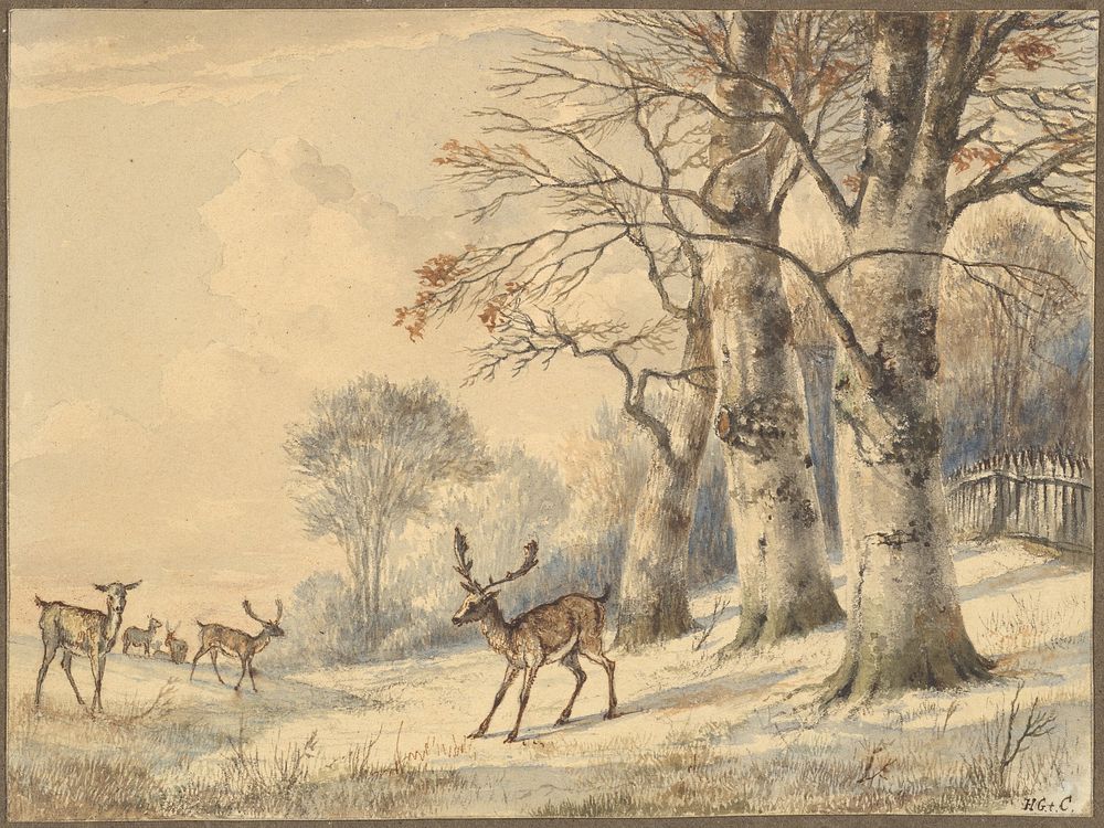 Deer under Beech Trees in Summer by Hendrik Gerrit ten Cate