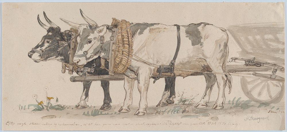 Two Oxen Pulling a Cart by Peter Christian Thamsen Skovgaard 