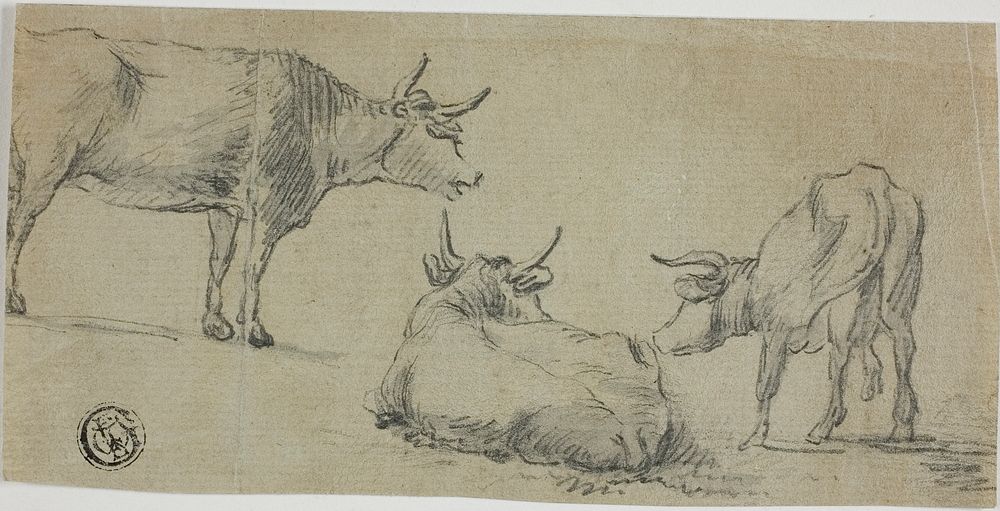Three Sketches of Cows by Aelbert Cuyp