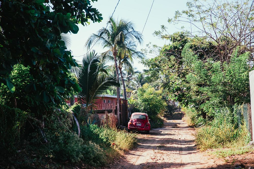 A red Volkswagon beetle car parked beside a small dirt road with palm trees and tropical greenery on both sides of the path.
