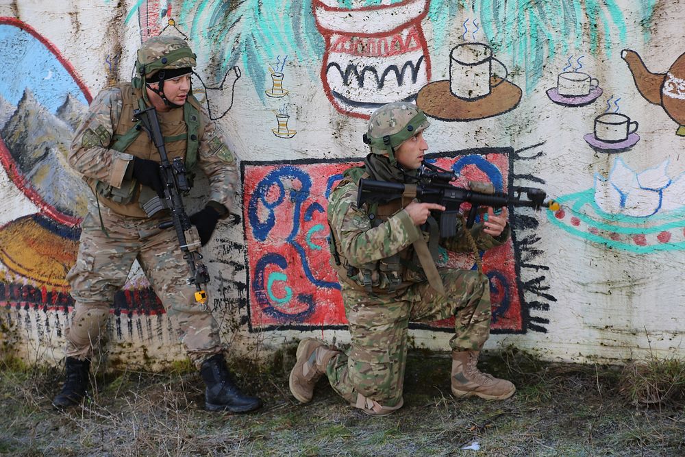 Georgian soldiers provide security during Georgian Mission Rehearsal Exercise (MRE) 14-02B at the Joint Multinational…