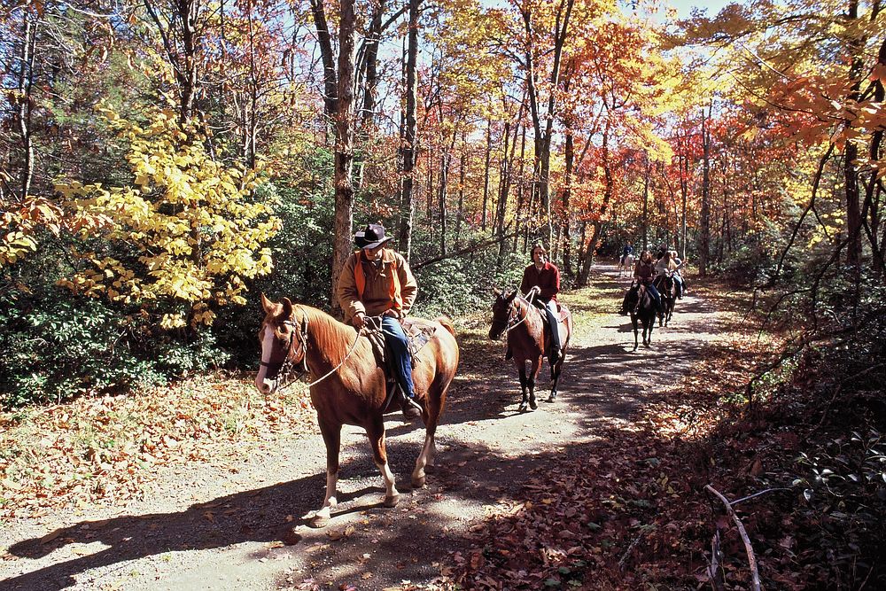 Trail Ride-Skyland on Old Rag Fire Road. Original public domain image from Flickr