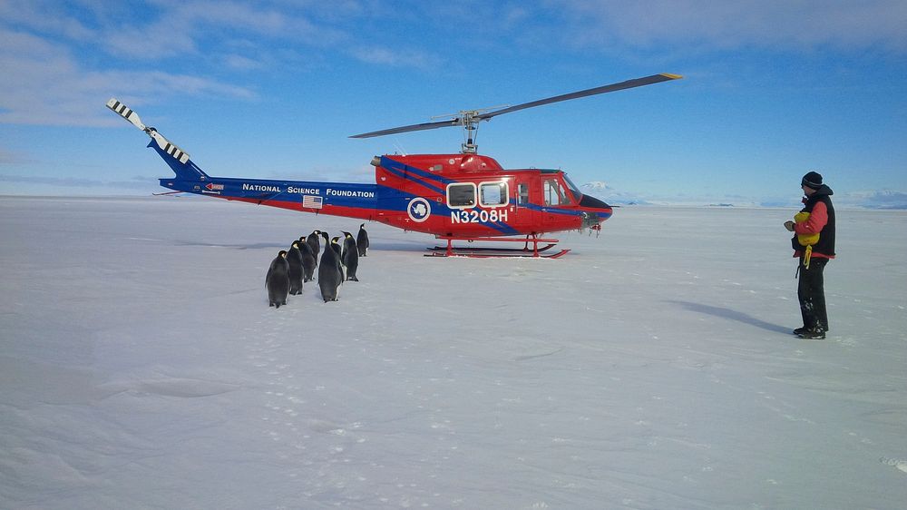 Charg&eacute; Green's visit to Antarctica, November 2014.Original public domain image from Flickr