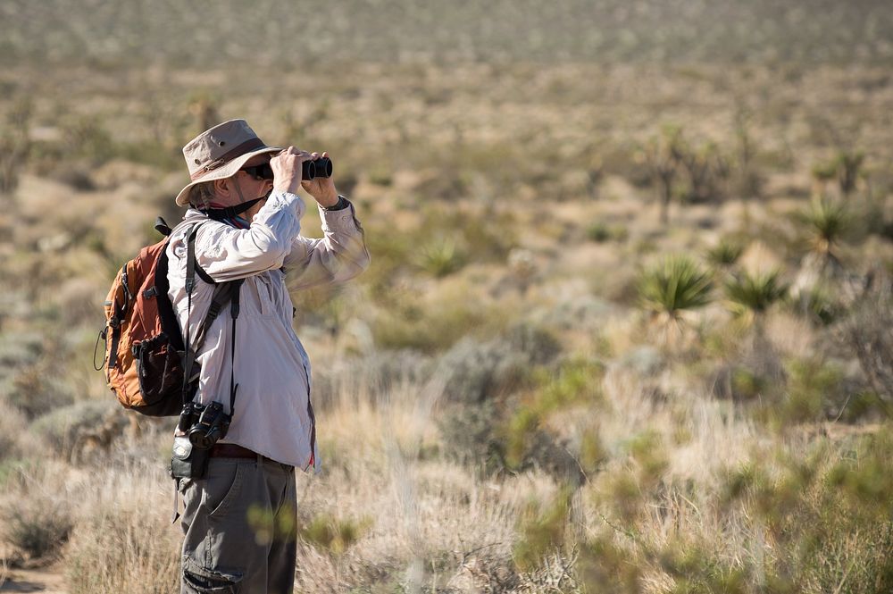 Earthwatch Volunteers Look for Birds as Part of a Climate Change Study