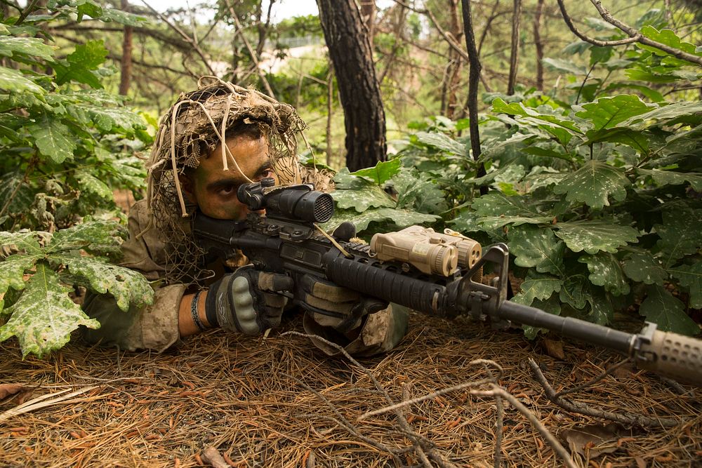 Lance Cpl. Chase Gindin provides security for his unit before relocating to an alternate extraction point June 4 during…