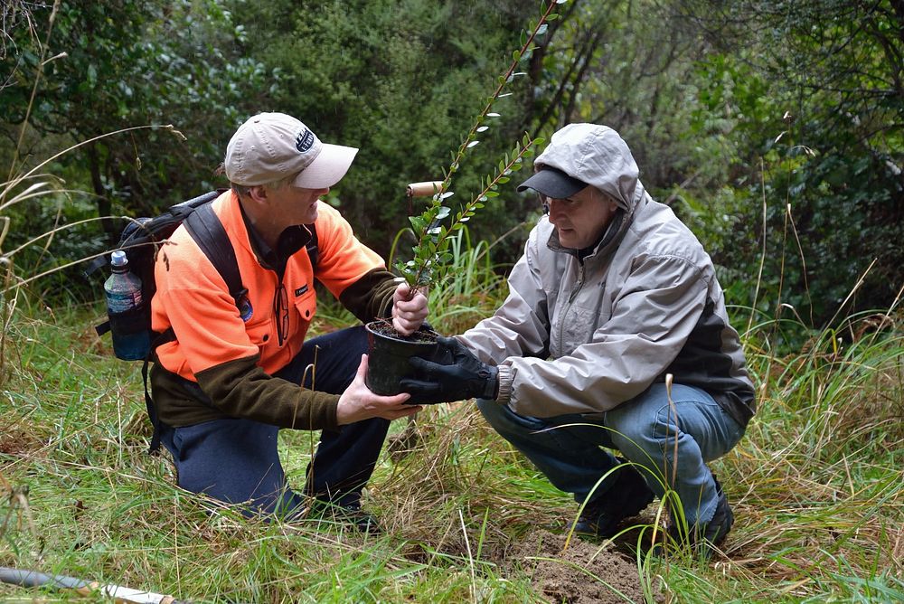 World Environment Day with Rimutaka Forest Park Trust