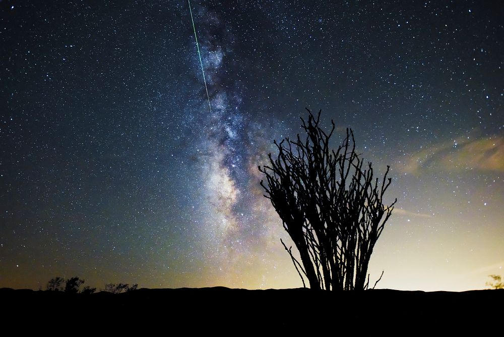 Perseid Meteor Shower over the Ocotillo Patch; 8/12/15
