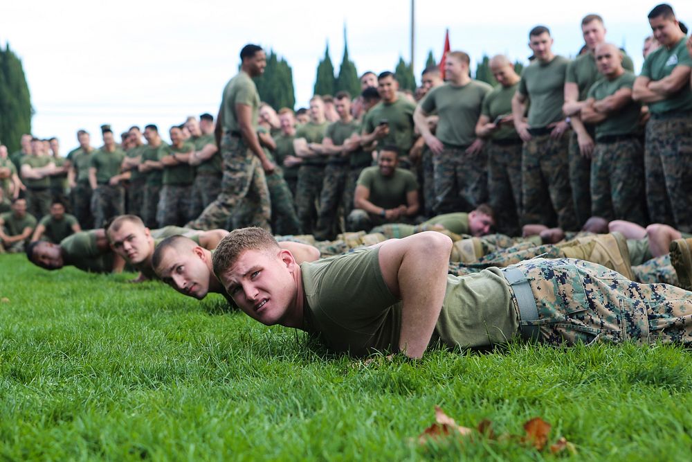 The Marines of 11th Marine Regiment prepare to go compete in a tug-of-war competition in celebration Saint Barbara's Day -…