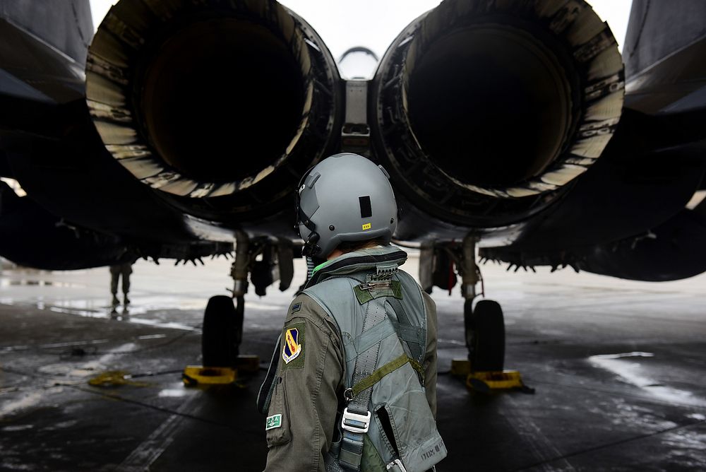 U.S. Air Force 1st Lt. Lauren Vinson, a weapon systems officer assigned to the 333rd Fighter Squadron, performs a preflight…