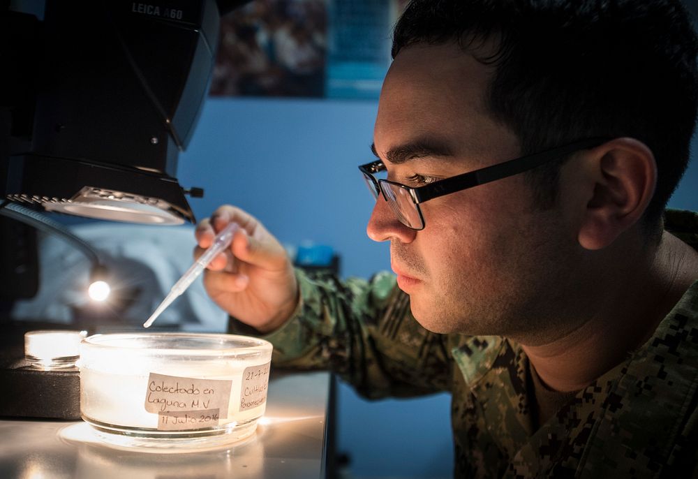 U.S. Navy Lt. Alister Bryson, an entomologist assigned to Naval Environmental Preventive Medicine Unit 2, experiments with a…