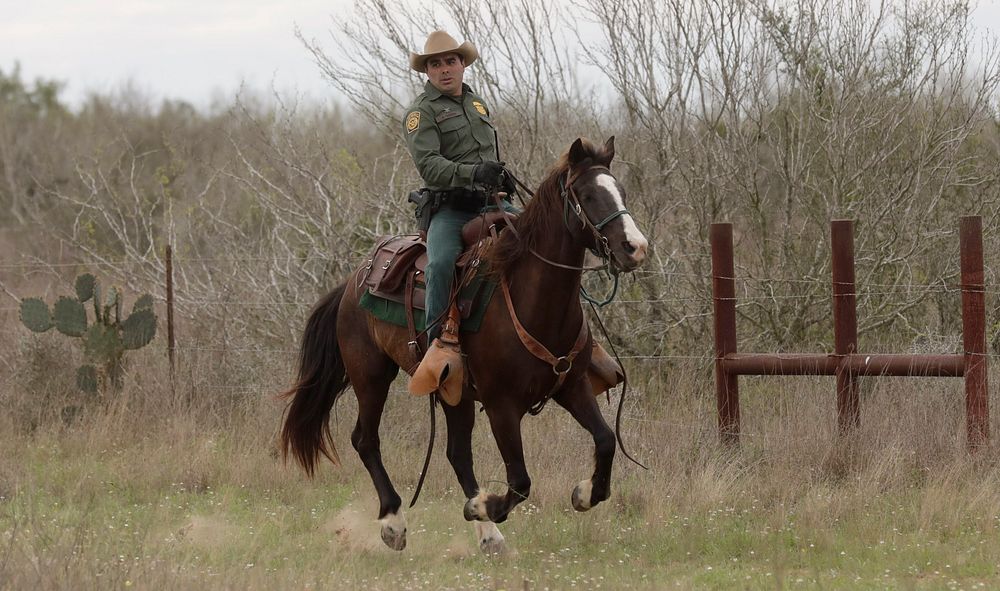 A horse-mounted U.S. Border Patrol agent searches the thick brush of vast ranch-lands as he and his cohorts follow "sign"…