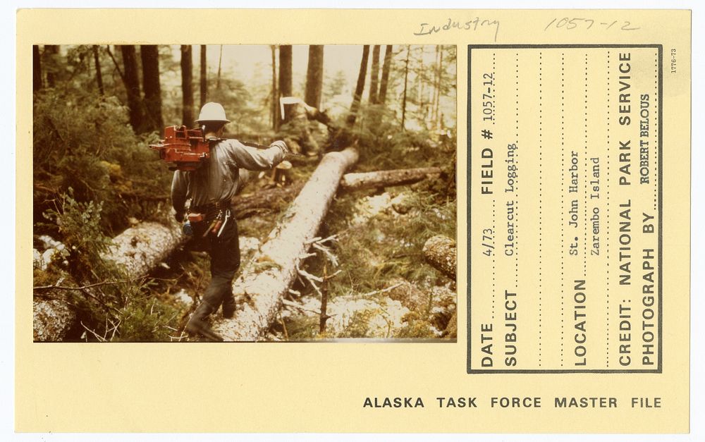 Clearcut logging. Original public domain image from Flickr
