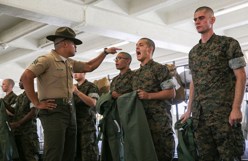 A drill instructor from Hotel Company, 2nd Recruit Training Battalion, instructs a recruit to respond louder during pick up…