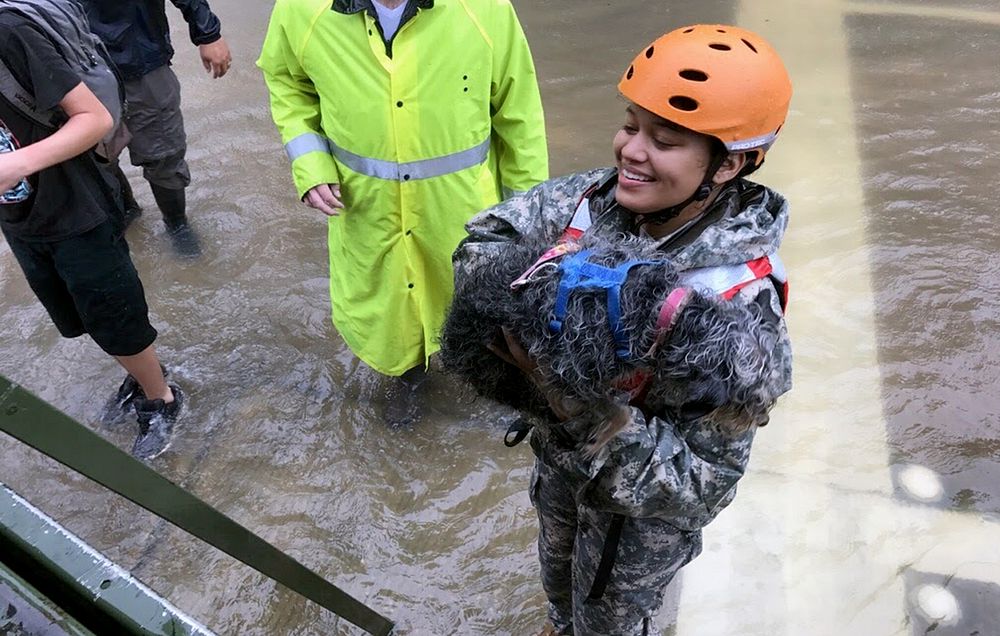 A U.S. Soldier with the Texas Army National Guard rescues a family's pet as floodwaters from Hurricane Harvey continue to…