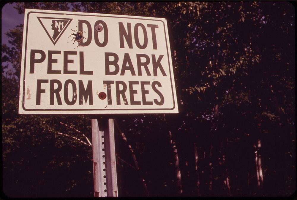 Sign at the "Shelburne Birches" Area on the Androscoggin River 06/1973. Original public domain image from Flickr