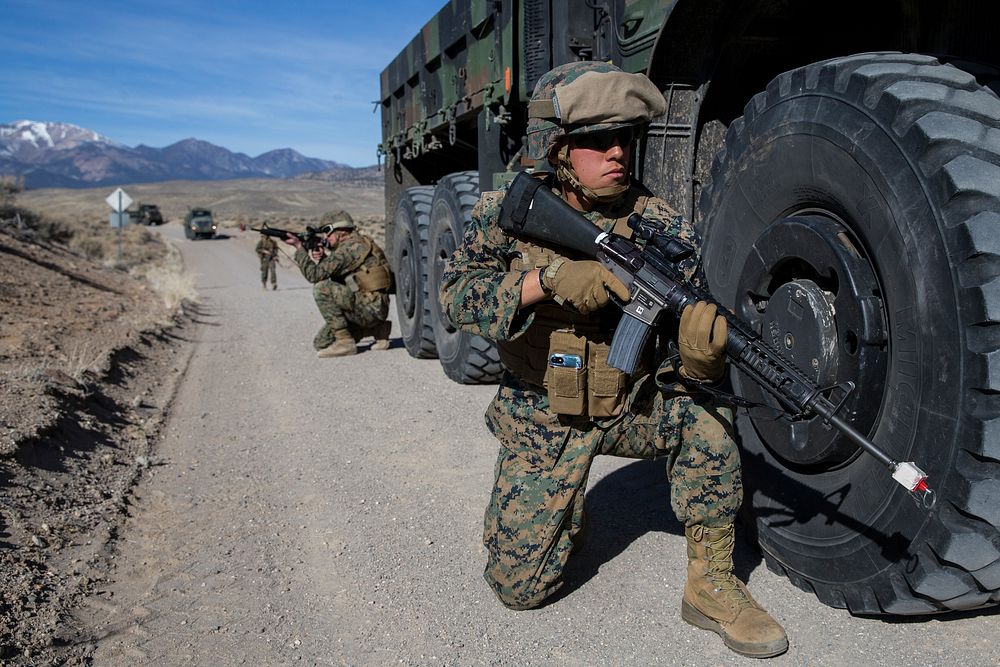 U.S. Marine Corps Lance Cpl. Caleb Estrada, right, a landing support specialist with 2nd Transportation Support Battalion…
