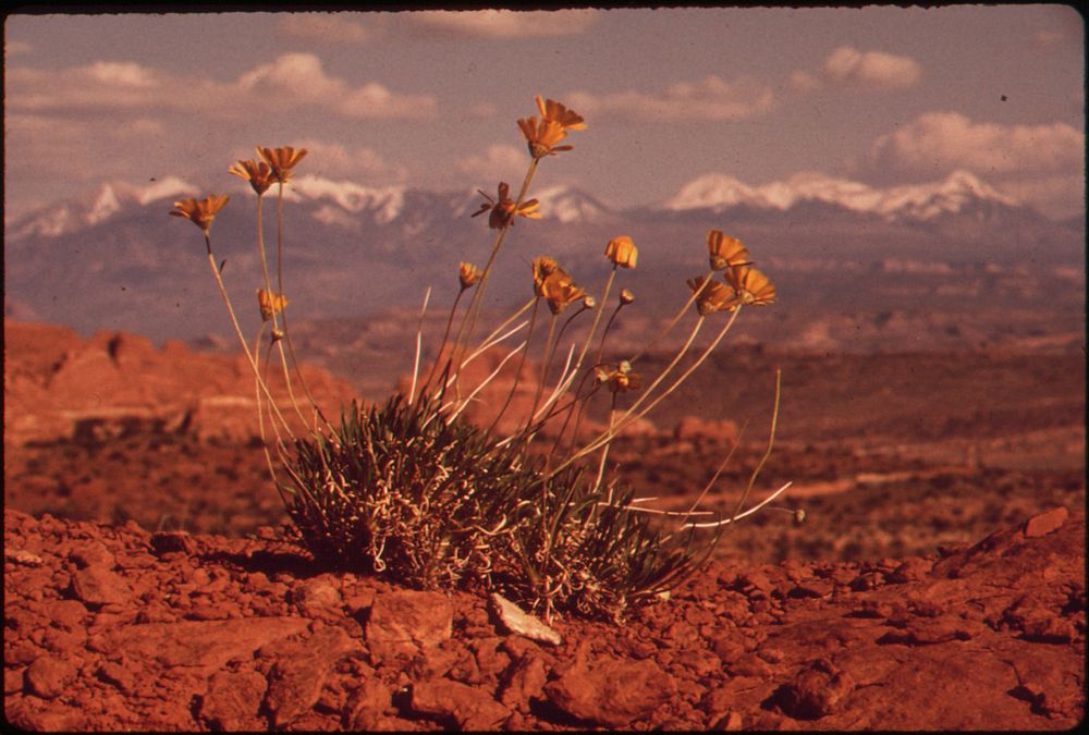 Utah - Near Moab, 05/1972. Original public domain image from Flickr