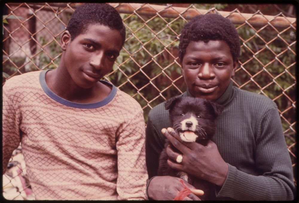 Two Black Youths and a Dog in Paterson, New Jersey.