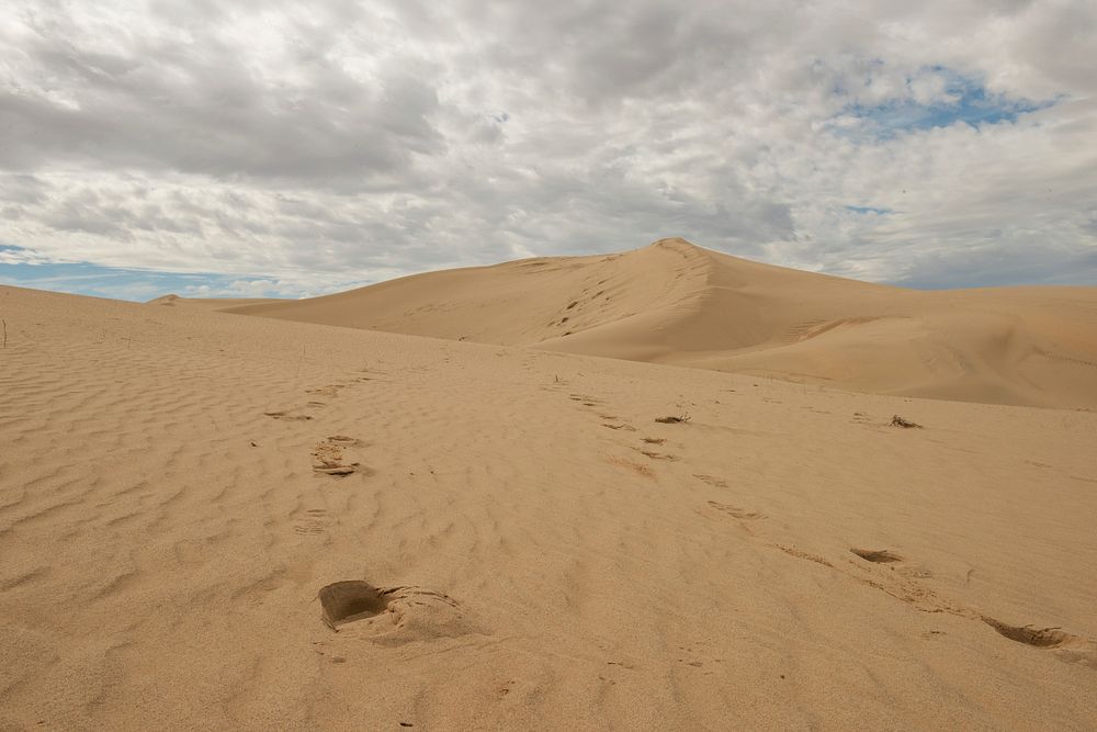 Cadiz Sand Dunes at Mojave Trails National Monument
