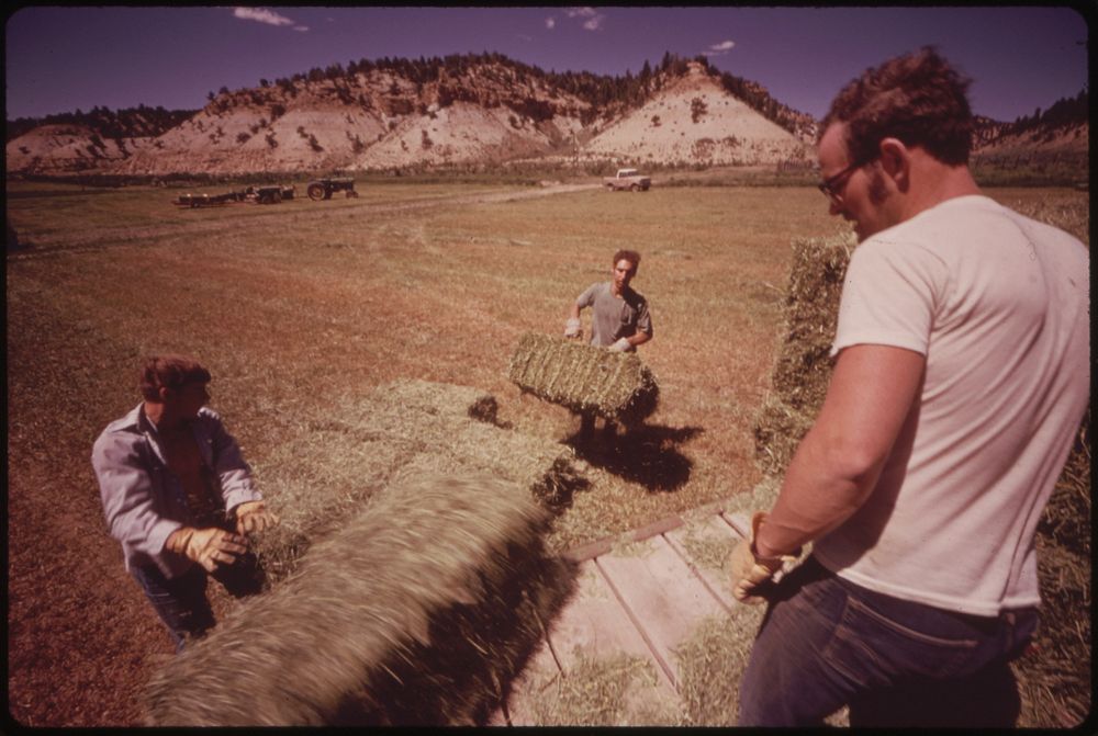 Three Generations of Oldlands Have Ranched on Piceance Creek. in the Summer They Move 15 Miles South to Their Cow Camp, and…