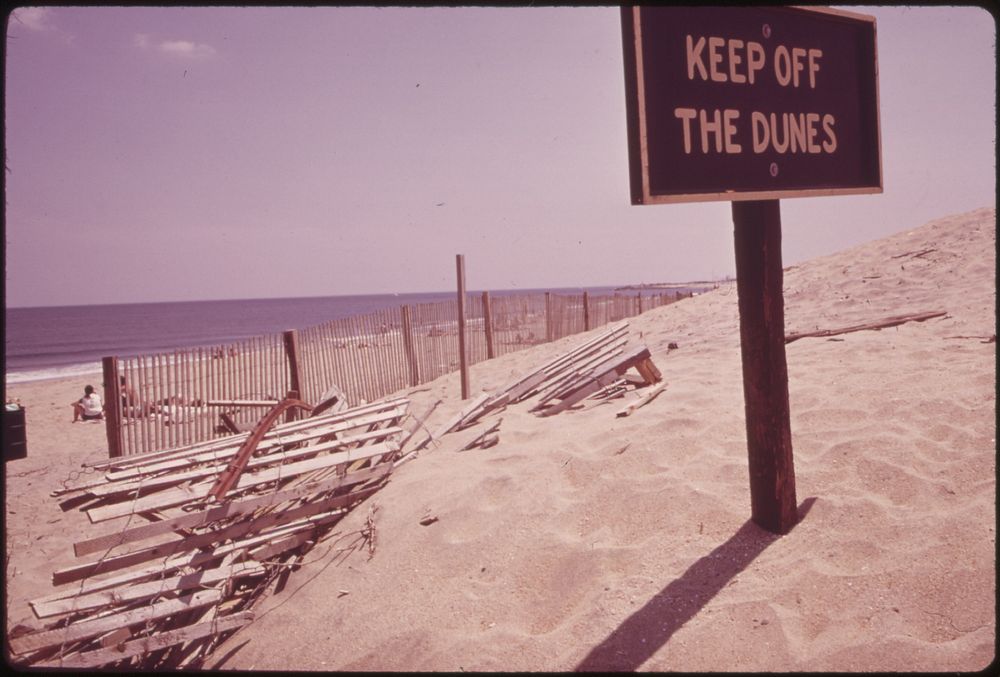 Visitors Are Warned Off Dunes as Part of Effort to Protect the Sandy Hook Beaches from Erosion 05/1973. Photographer: Tress…