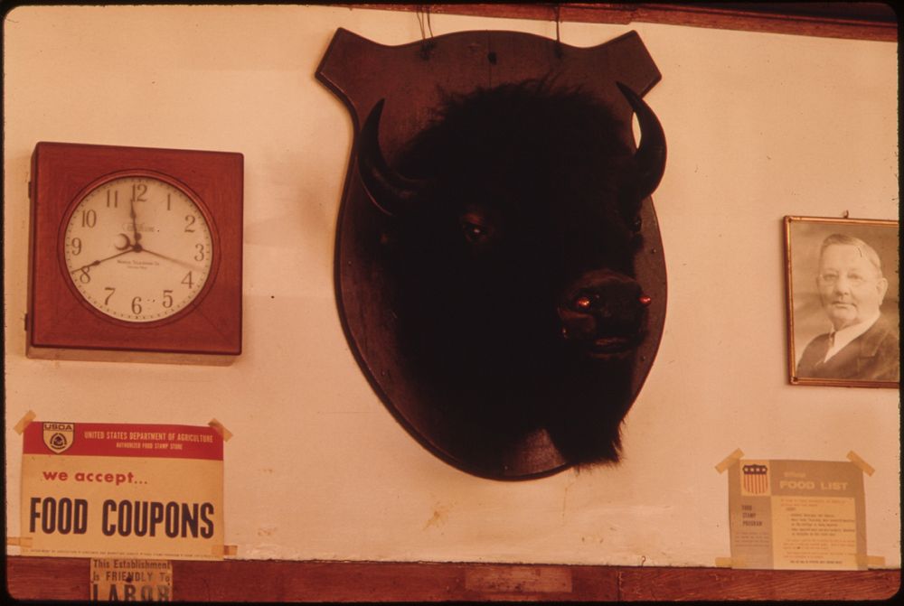 Buffalo Head Mounted Above Shelving in a Butcher Shop in New Ulm, Minnesota.