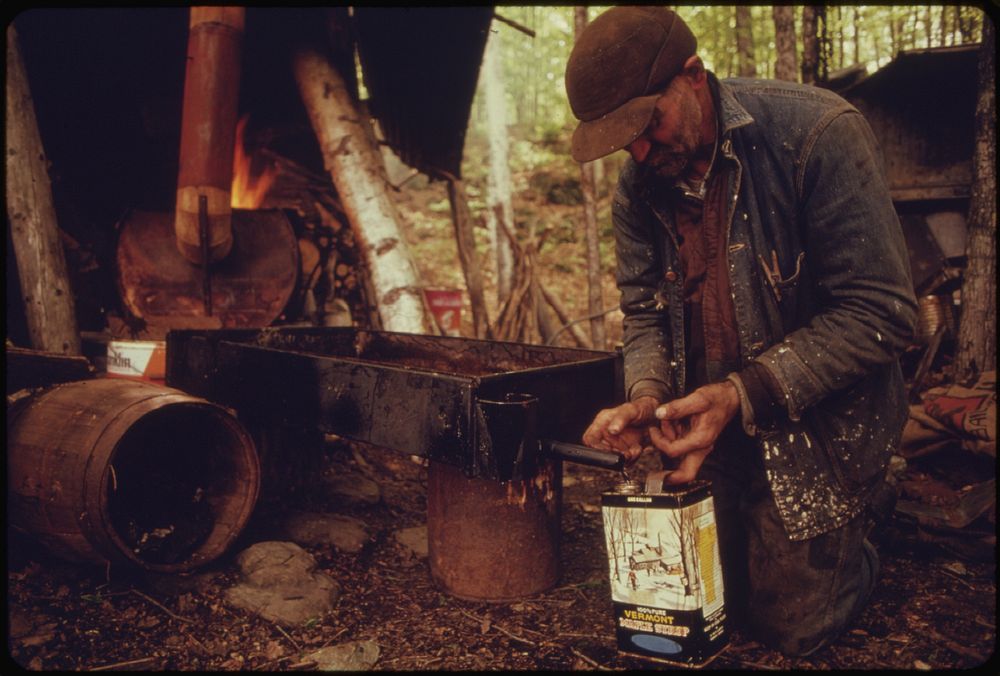 Resident of Roxbury, Vermont, Draws Off the Finished Syrup From a Homemade Evaporator.