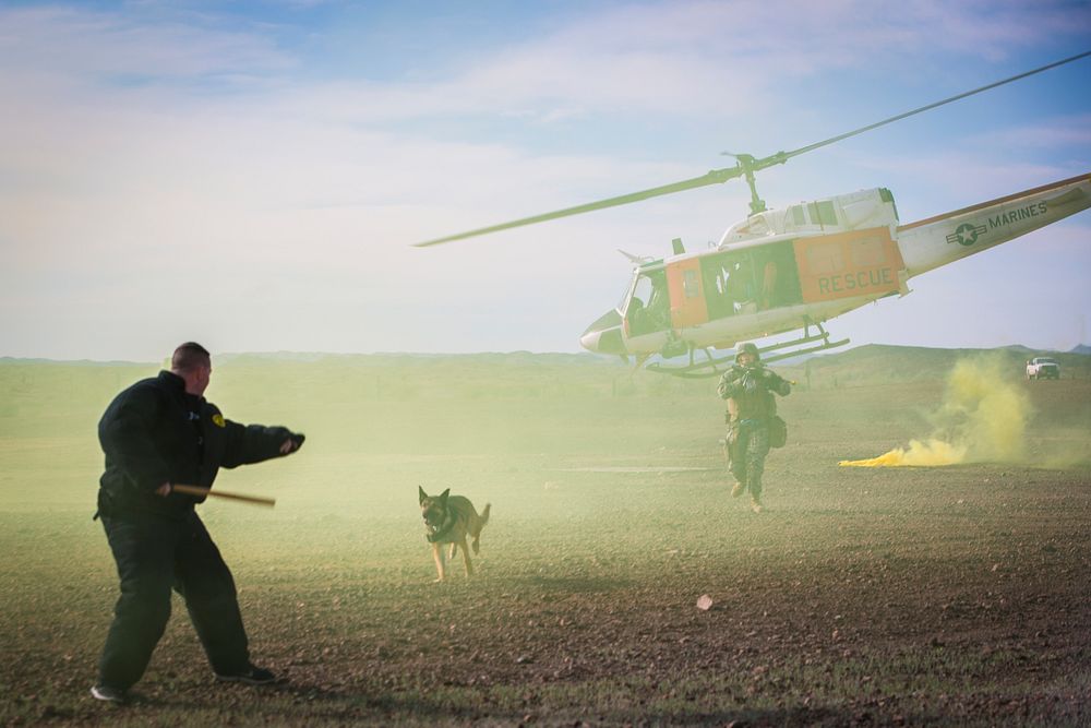 U.S. Marines assigned to the Military Working Dog (MWD) Team Deployment Training Course conduct helicopter familiarization…