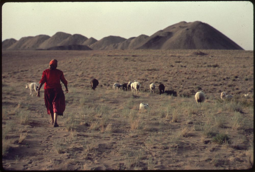 Navajo Sheepherder in Southern Utah. Photographer: Eiler, Terry. Original public domain image from Flickr