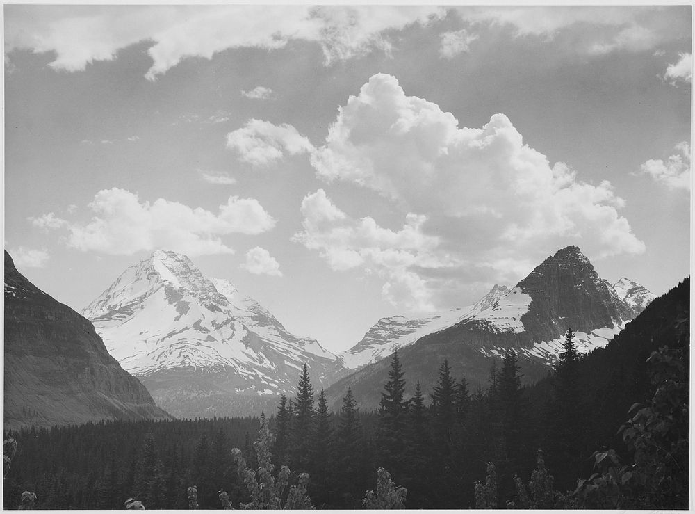 Looking across forest to mountains and clouds, "In Glacier National Park," Montana. Photographer: Adams, Ansel, 1902-1984.…