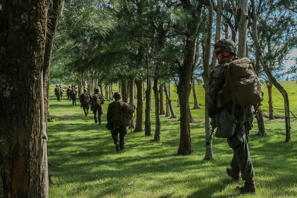 Marines with Fox Company, Battalion Landing Team, 2nd Battalion, 5th Marines, patrol during a simulated helicopter raid as…