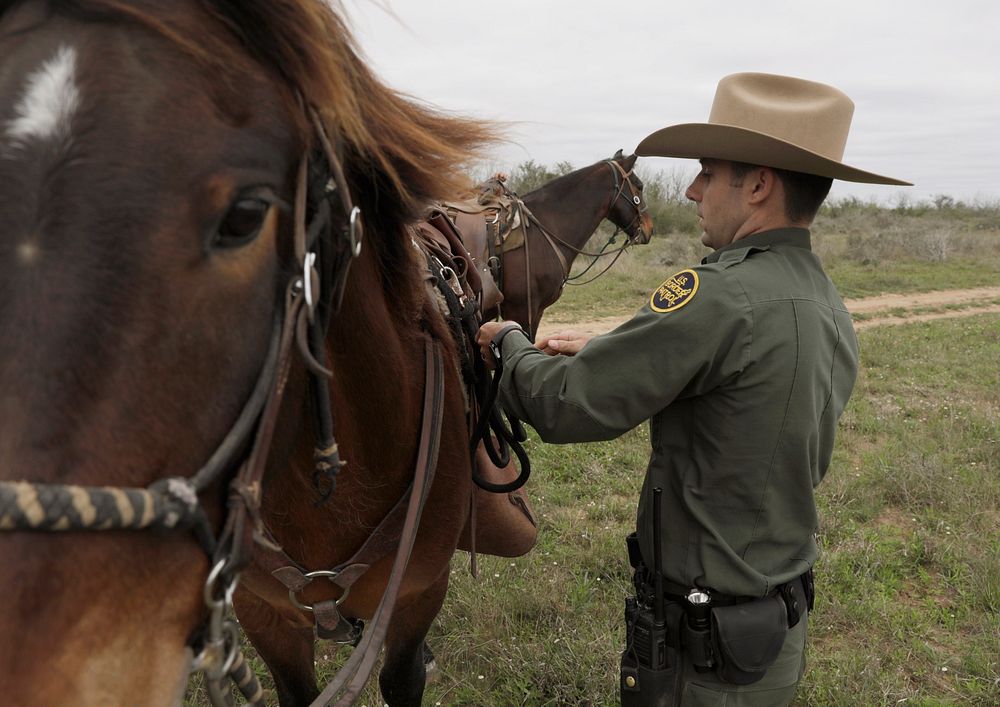 A U.S. Border Patrol agent checks the rigging on his horse while searching vast ranch-lands that are often used by illegal…