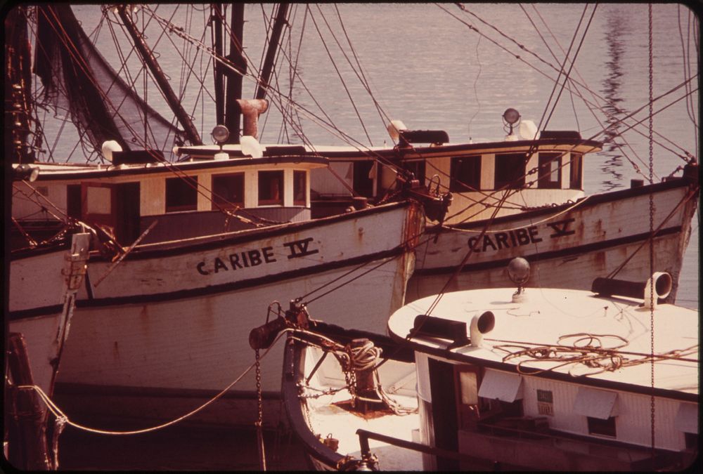 Shrimp Boats at the Commercial Fishing Docks. Photographer: Schulke, Flip, 1930-2008. Original public domain image from…