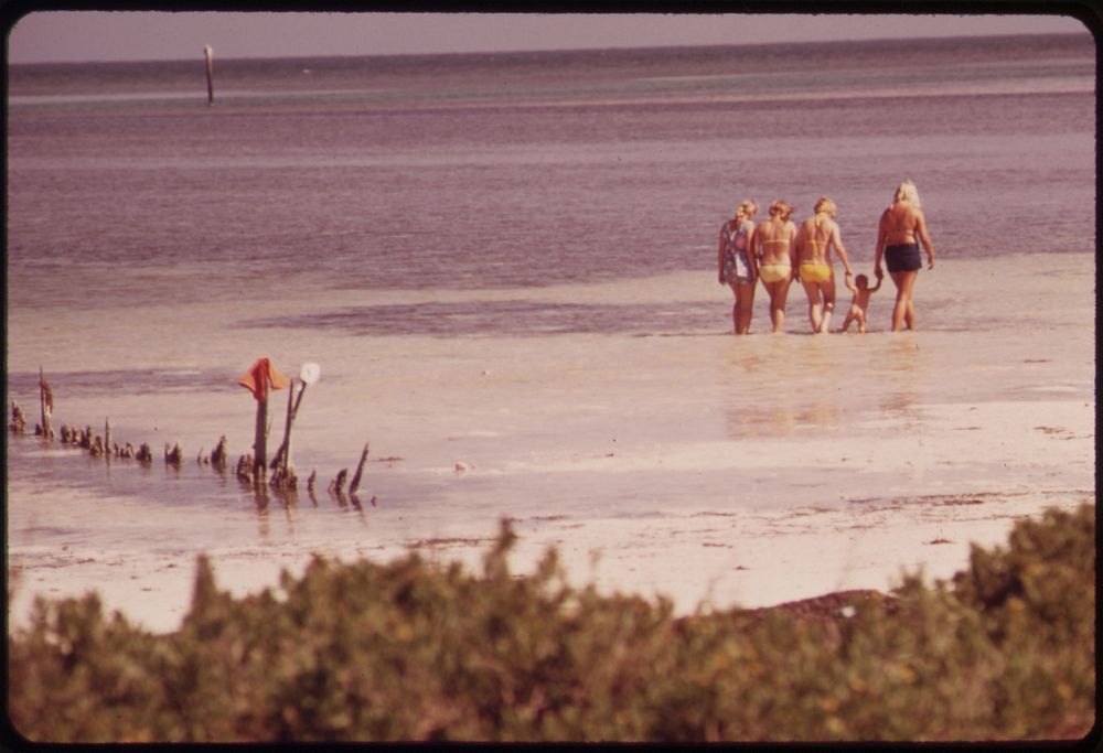 Tourists at the Public Beach near Long Key in the Central Florida Keys. Photographer: Schulke, Flip, 1930-2008. Original…