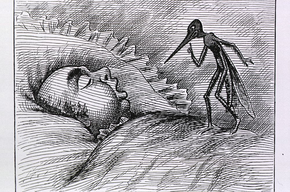 Insects- Injurious & Beneficial: Mosquitoes. "Let me have men about me..." [cartoon showing a mosquito sitting on a sleeping…