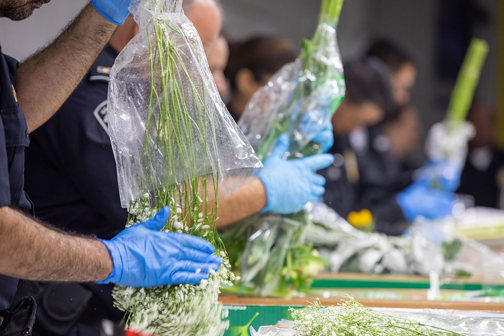 U.S. Customs and Border Protection agriculture specialists examine imported flowers at the Port of Miami in Miami, Fla.…