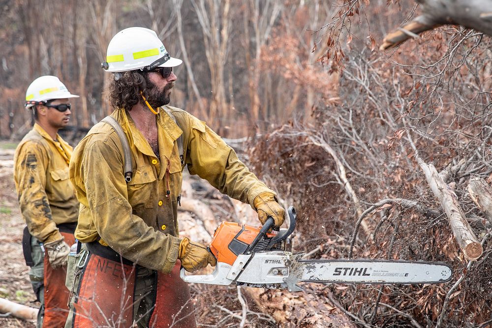 US firefighters in Australia Free Photo rawpixel